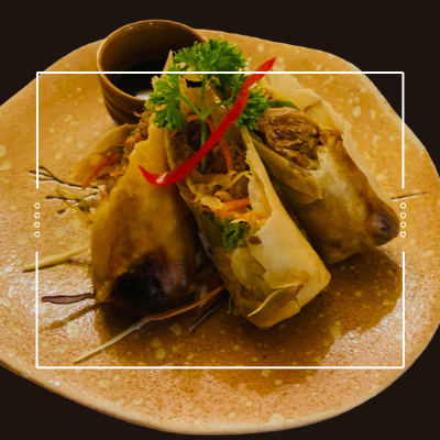 Duck Spring Rolls
